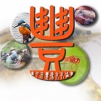 臺中市豐像文化協會 