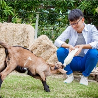 水流莊牧場|楊政勳