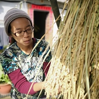 好楓戶農家-黃曉君