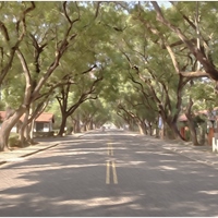 虎魄花城-中興新村實境解謎遊戲