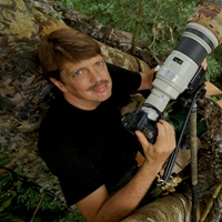 Tim Laman 提姆.雷曼