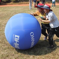 中華民國健球協會