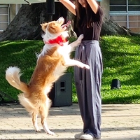 山杉市集 shanshan market