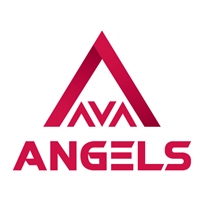 AVA天使投資- AVA Angels