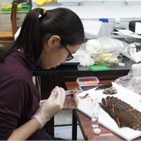 謝季恆 HSIEH Chi-Heng