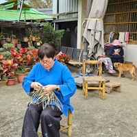 劉黃莎莉