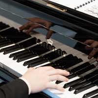 德國貝希斯坦鋼琴（C. Bechstein）