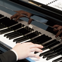 德國貝希斯坦鋼琴（C. Bechstein）