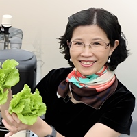 李采慧