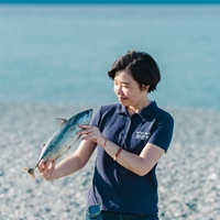 黃紋綺