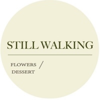 Still Walking