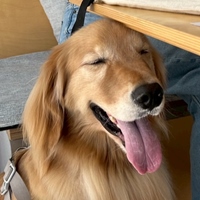 COOPER