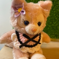 木星的卡娃衣小宇宙