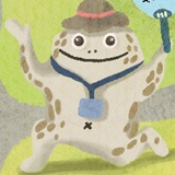 蟾蜍山煥民新村藝工隊