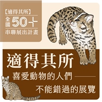 石虎  (非本虎出沒)