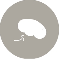 飾子 sz studio