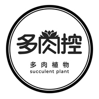 楊政昌