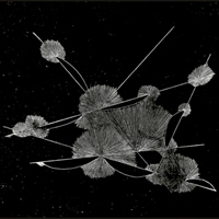 蔡欣芸