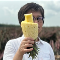 林佳珍
