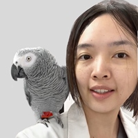 潘盈臻獸醫師