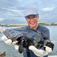 洪佳琪