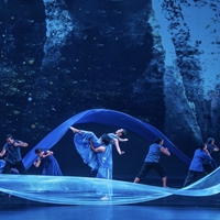 114年節出藝文團隊