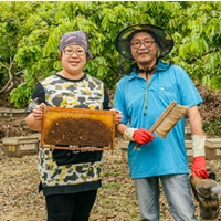 吳憶宜、曾國安
