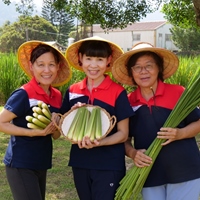 小嫻