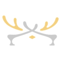 薩法克有限公司