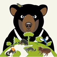 林業及自然保育署臺東分署