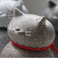 Biology Friends Club