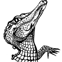 丹青插畫工作室ching4 illustrations