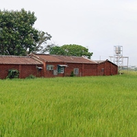 陳秋菊、曾素珍