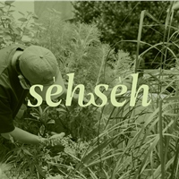 踅踅 sehseh studio