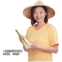 一新社區發展協會