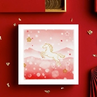 艾莉的畫外知音