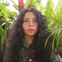 薇若妮卡．納瓦斯