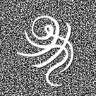 人果手刺，種子 REGO ECHO