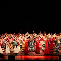 沃佛朗明哥工作室