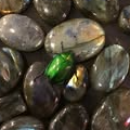 The Green Beetle