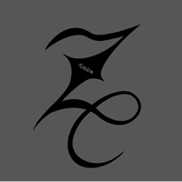 Z Random.零亂