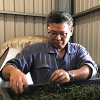 王茂林