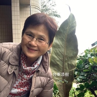 Amy Ting