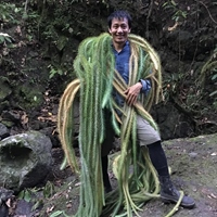洪信介
