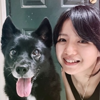 雅文