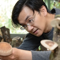 葉家豪