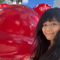 WEI WEI CHEN