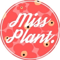 植物小姐 Miss Plant