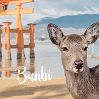 BANBI