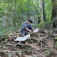 高安柏